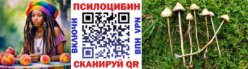 Псилоцибиновые грибы Psilocybine cubensis  Курганинск 